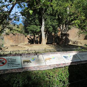 Lost Forest - Ituri Forest - Forest Buffalo and Others Exhibit