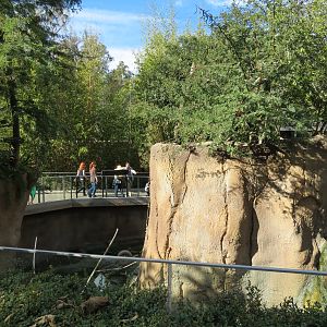 Lost Forest - Ituri Forest - Forest Buffalo and Others Exhibit