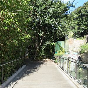 Lost Forest - Ituri Forest - Forest Buffalo and Others Exhibit