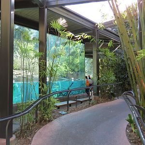 Lost Forest - Ituri Forest - Forest Buffalo and Others Exhibit