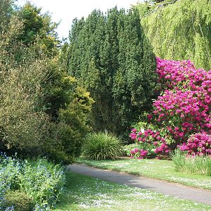 Gardens, 16th May 2014