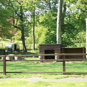 Contrasting styles of shelter, 17th May 2014