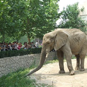 Careful of electricity