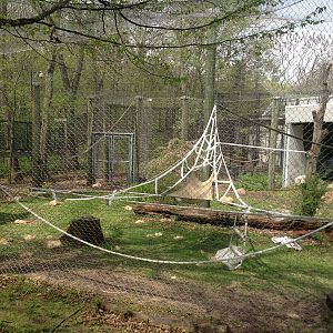 5/19/2014 - Outdoor Gorilla Exhibit
