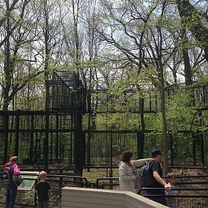 5/19/2014 - Part of Outdoor Bonobo Exhibit