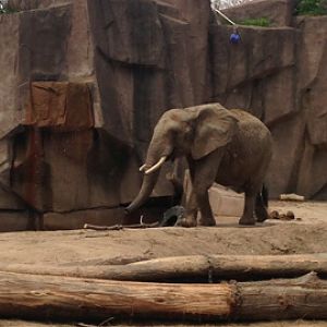 5/19/2014 - Brittany