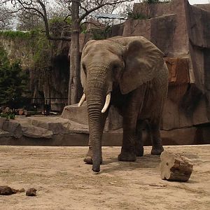 5/19/2014 - Brittany