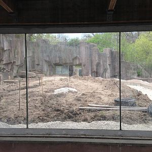 5/19/2014 - Outdoor African Lion/Spotted Hyena Exhibit (under renovation)
