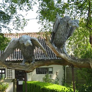 Vulture sculptures.