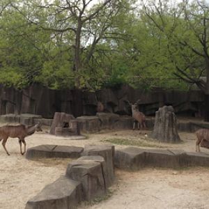 5/19/2014 - Greater Kudus