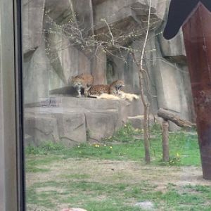 5/19/2014 - Brothers