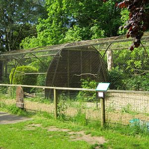One of the older aviaries.