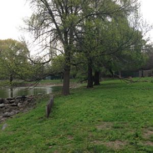 5/19/2014 - Moose Exhibit