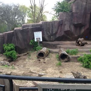 5/19/2014 - Badger Exhibit