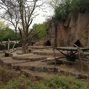 5/19/2014 - American Black Bear Exhibit