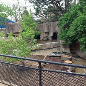 5/19/2014 - Crested Screamer Exhibit