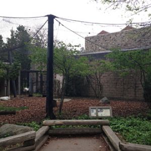 5/19/2014 - Whooping Crane Exhibit