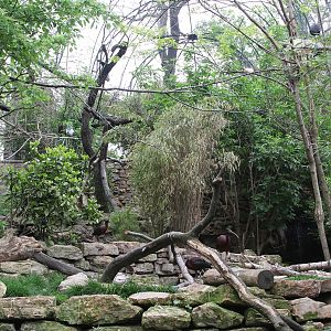 Inside big aviary for Ibises and Herons