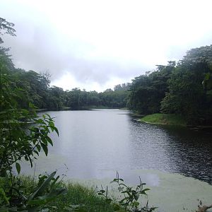 'Lake of Ducks', Arenal, 18/04/14