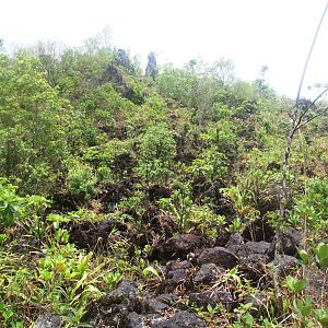 Lava Flow in Succession, Arenal, 18/04/14