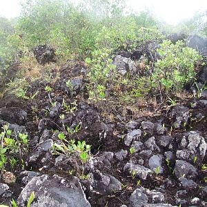 Lava Flow in Succession, Arenal, 18/04/14