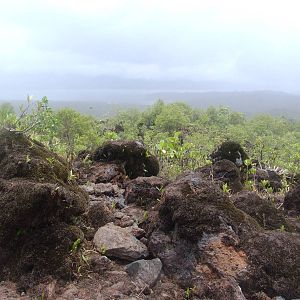 Lava Flow in Succession, Arenal, 18/04/14