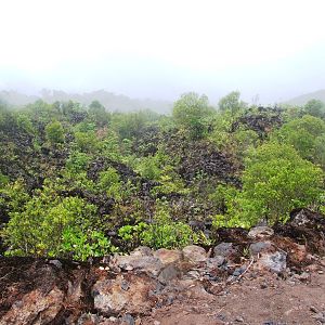 Lava Flow in Succession, Arenal, 18/04/14