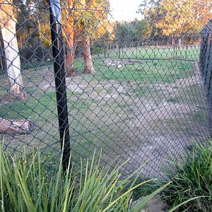 Cheetah Enclosure