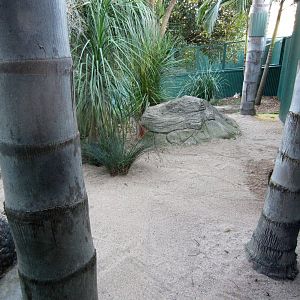 Fennec Fox exhibit
