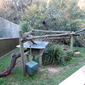 Red Panda enclosure