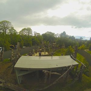 Gorilla frame currently under construction