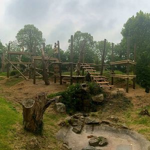 Gorilla frame currently under construction