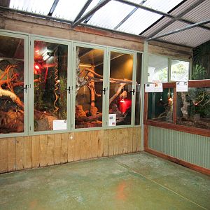 Interior of Reptile House