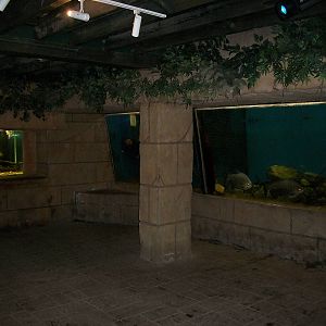 Inside the aquarium, 6th May 2014