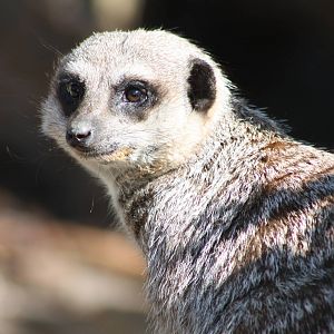 And another one, 6th May 2014