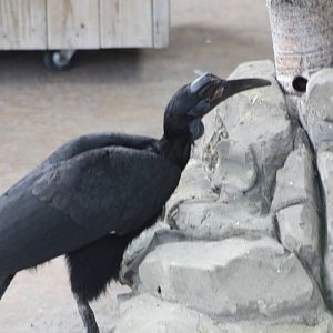 Twiggy, 6th May 2014