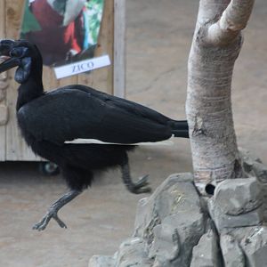 Twiggy, 6th May 2014