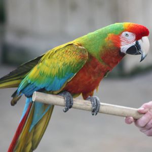 It must be time for another photograph of Olive, 6th May 2014