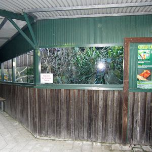 Tamarin enclosure
