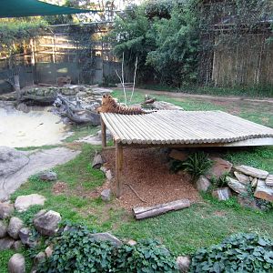 Tiger enclosure