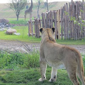 Looking out into the Great Rift Valley