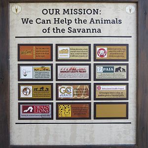 Conservation Projects