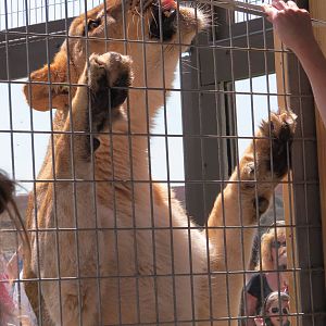 Keeper Training Session