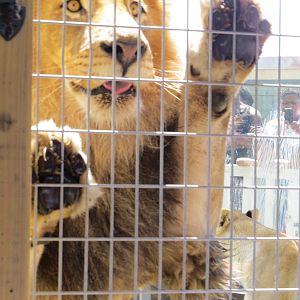 Keeper Training Session