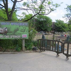 Black Rhino Yard Renovation