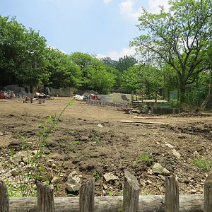 Black Rhino Yard Renovation