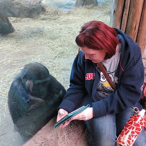 Bonnie trying to be Dian Fossey