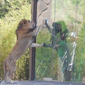 May. 2014 - Africa - John's Training