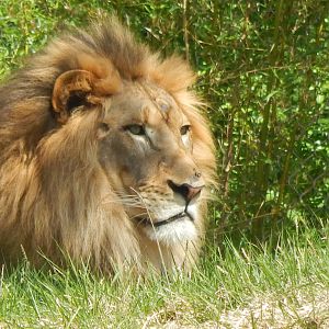 May. 2014 - Africa - John