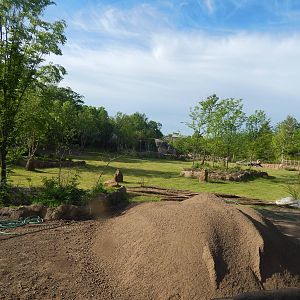 May. 2014 - Africa - Africa Plains Exhibit (From Employee Viewing)